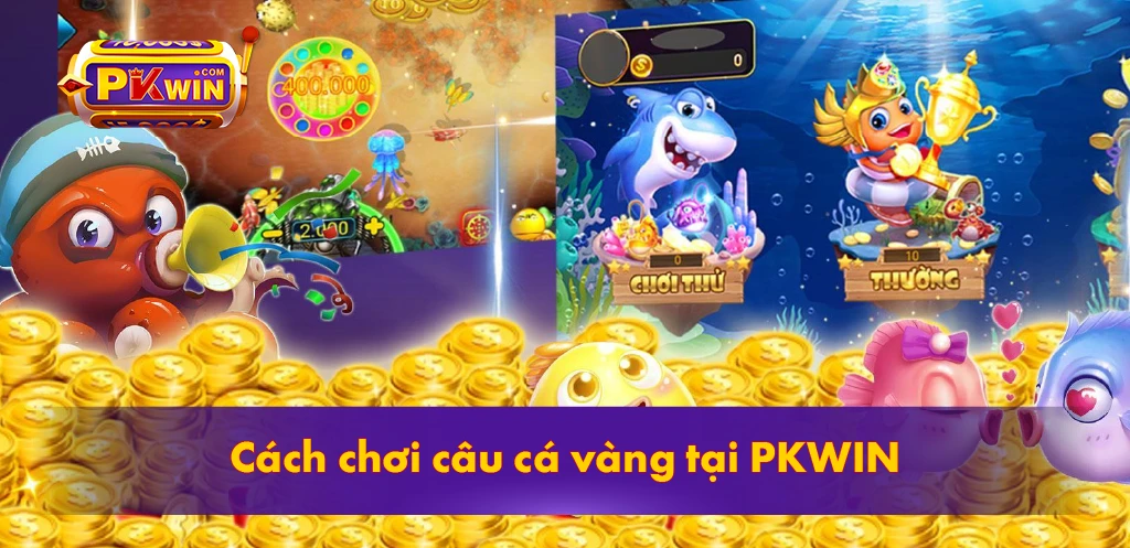 Cách chơi câu cá vàng tại PKWIN