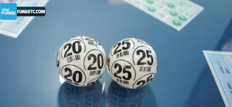 20 4